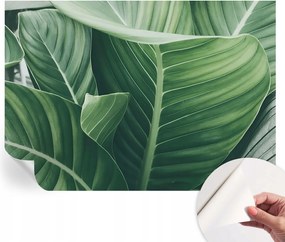 Öntapadós Dekoratív Fotótapéta Hálószobába Zöld nyugalom 208x146 cm