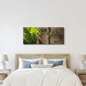 Kép - Mókus (120x50 cm)
