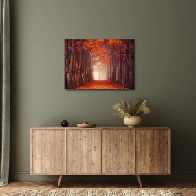 Kép - őszi erdő (70x50 cm)