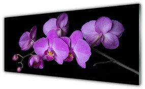 Modern üvegkép Orchidea Orchidea Virág 100x50 cm