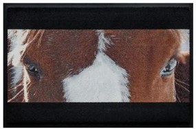 Állatos prémium lábtörlő - foltos ló (Válassz méretet: 100*70)