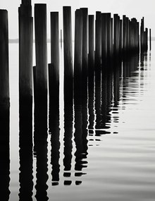 Poszter 50x65cm Víz és fa ritmus