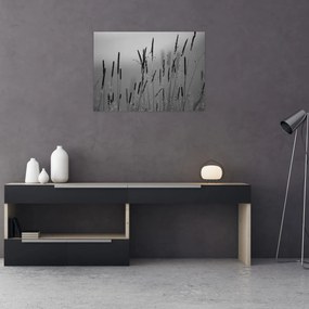 Kép - Fűszálak (70x50 cm)