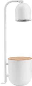 Kaspa BOTANICA 41100101 Asztali lámpa 1x9W/GU10 IP20
