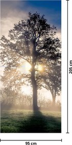 Fotótapéta ajtóra - Fa a ködben (95x205cm)
