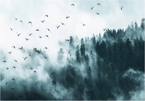 Fotótapéta fa erdő köd 208 x 146