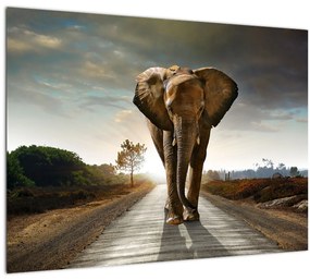 Elefánt képe (üvegen) (70x50 cm)