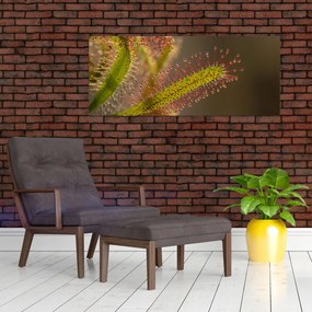 A növény képe (120x50 cm)