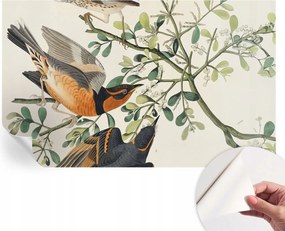 Öntapadós tapéta Divatos 3D fali ragasztóval Színes madarak 416x254 cm