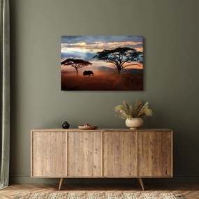 Kép - Serengeti Nemzeti Park, Tanzánia, Afrika (90x60 cm)