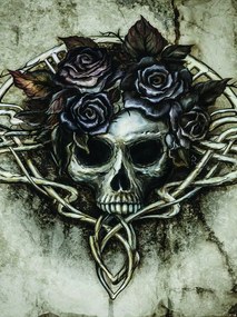 Flizelin fotótapéta 206x275 Világkultúra Koponya rózsákban +ragasztó