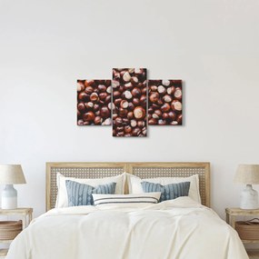 Kép - Érett gesztenye (90x60 cm)