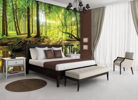 Fotótapéta - Napos erdő (152,5x104 cm)