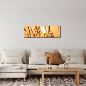 Kép - Füvek a napon (órával) (90x30 cm)
