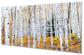 Akrilkép őszi nyírfa 125x50 cm