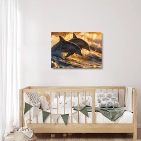 Üveg kép - Delfinek (70x50 cm)