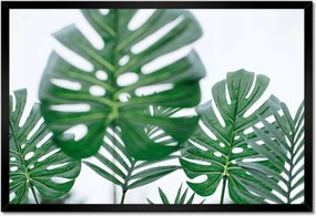 Poszter keretben 60x40 Mosnter levelek lyukas