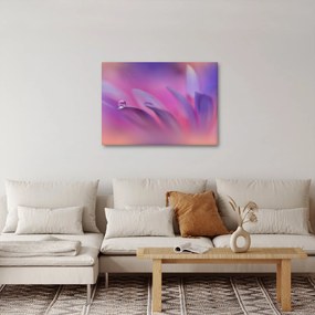 Kép - Csepp a virágon (70x50 cm)