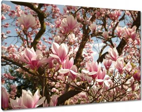 Vászonkép 100x70 Magnólia Virágok Kék