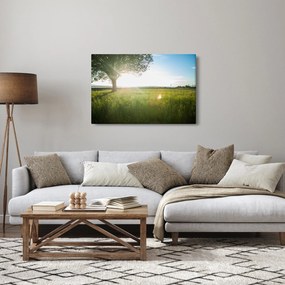 Egy fa képe a mezőn (90x60 cm)