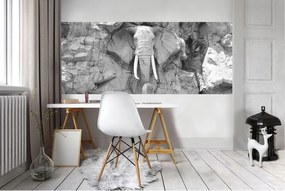 Fotótapéta Elefánt a sziklán Kő szobor Fekete-fehér hatás 250x104 +ragasztó