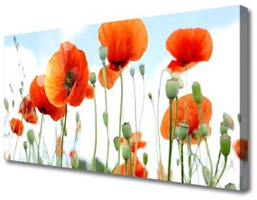 Vászonfotó Field of Flowers Pipacsok Mező Természet 100x50 cm