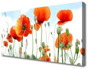 Vászonfotó Field of Flowers Pipacsok Mező Természet 120x60 cm