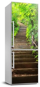 Matrica hűtőre Lépcsők az erdő FridgeStick-70x190-f-64602370