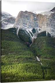 Vászonkép Canvas Természet Kilátás a hegyekre Erdő 80x120 cm