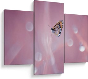 Kép - Pillangó (90x60 cm)