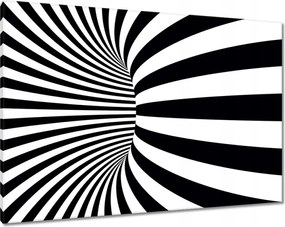 Vászonkép 100x70 Absztrakt fekete-fehér