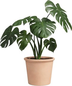 Terrakotta virágcserép ø 18 cm Saramago Cilindro – Artevasi