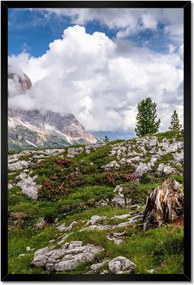 Poszterek keretben 40x60 Bárány a hegyekben Kilátás