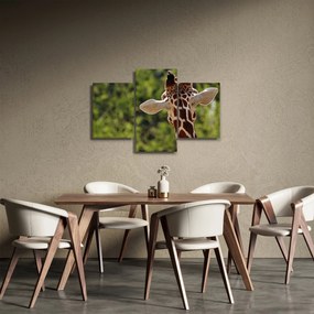 A zsiráf képe hátulról (90x60 cm)