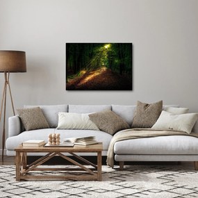 Erdei út képe (70x50 cm)