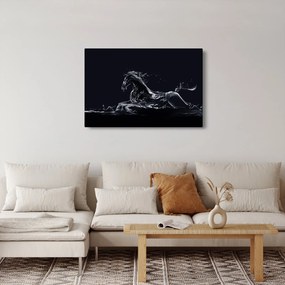 Kép - Ló és a víz (90x60 cm)