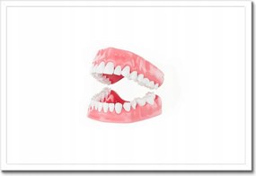 Poszterek keretben 60x40 Állkapocs a dolgozószobába Fogak