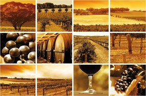 Flizelin fotótapéta Szőlő Provence Olaszország Nap 250x175 +ragasztó