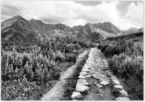 Poszterek 100x70 Tátra Lengyel hegyek Kilátás