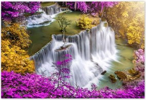 Poszterek 200x135 Lila a zuhatag körül