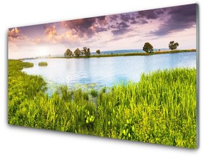 Fali üvegkép Grass Lake Nature 125x50 cm