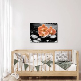 Kép - Narancssárga orchideák (70x50 cm)