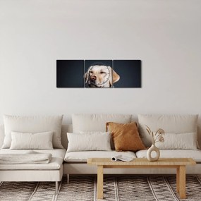 Labrador képe (órával) (90x30 cm)