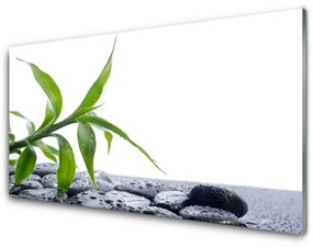 Fali üvegkép Leaf Nature Plant Stones 100x50 cm 2 fogas