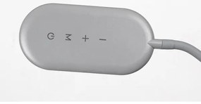 Rabalux 74010 - Állítható fényű LED érintős állólámpa ADELMO LED/10W/230V szürke