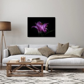 A liliom képe
 (üvegen) (70x50 cm)
