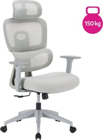 Irodai szék, világosszürke/szürke, teherbírás 150 kg, ERMEN