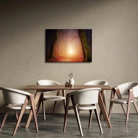 Őszi erdő képe a ködben (70x50 cm)
