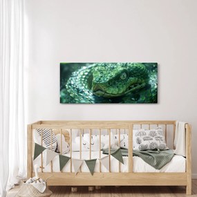 Kép - Egy kígyó portréja (120x50 cm)