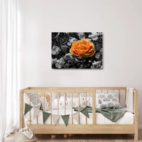 Virág képe (üvegen) (70x50 cm)